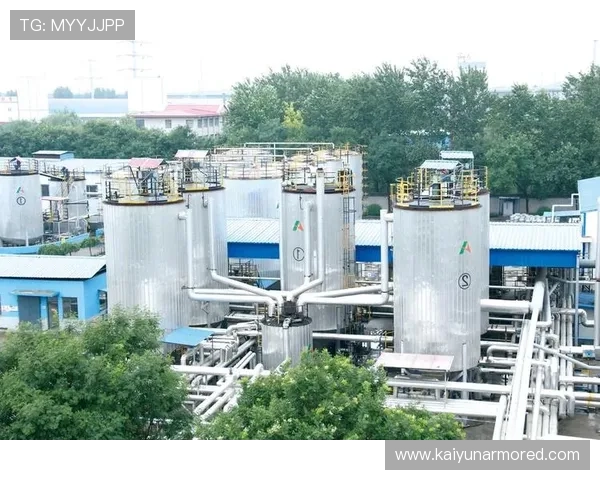 新手必读：开云在线登录的基本步骤与注意事项