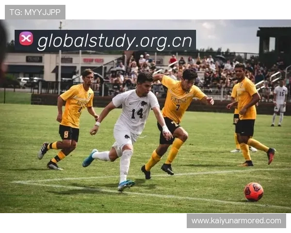 乐鱼体育app免费下载最新版本，轻松体验多元化体育赛事直播与精彩赛事回放